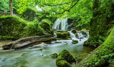 淘寶代運營如何有效維持和提升DSR動態(tài)評分
